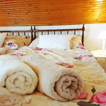 Elisoria Guest house *