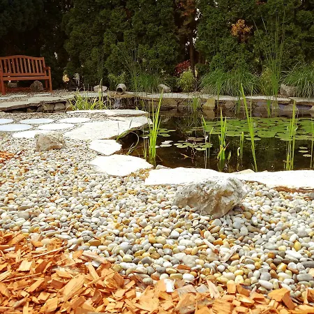 Elisoria Черсегтомай