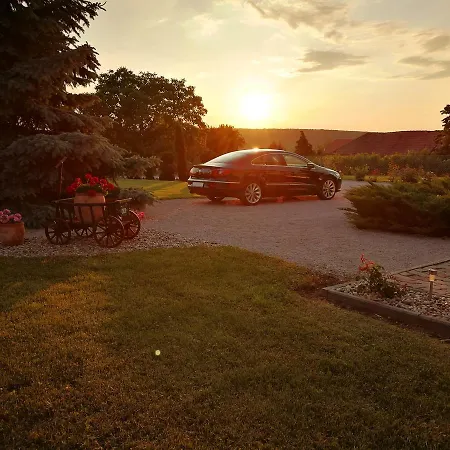 Гостевой дом Elisoria