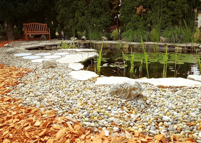 Elisoria צ'רסגטומאי