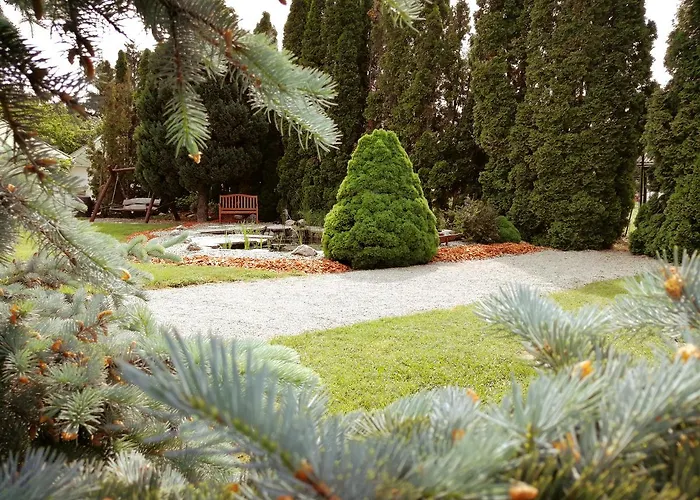 Elisoria צ'רסגטומאי